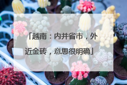越南：内并省市，外近金砖，意思很明确