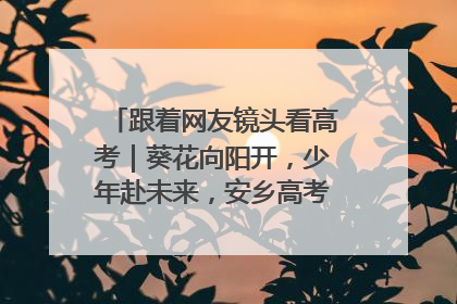 跟着网友镜头看高考｜葵花向阳开，少年赴未来，安乡高考首日的希望图景