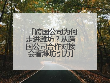 跨国公司为何走进潍坊？从跨国公司合作对接会看潍坊引力