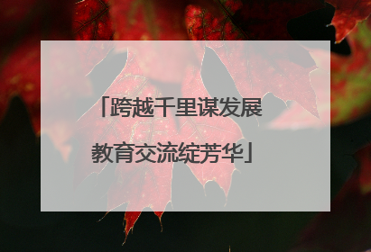 跨越千里谋发展 教育交流绽芳华