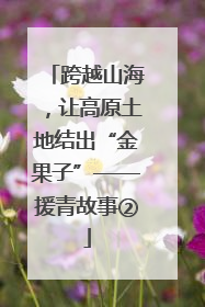 跨越山海，让高原土地结出“金果子”——援青故事②