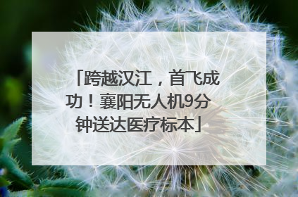 跨越汉江，首飞成功！襄阳无人机9分钟送达医疗标本