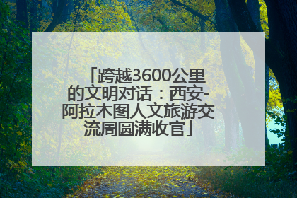 跨越3600公里的文明对话：西安-阿拉木图人文旅游交流周圆满收官