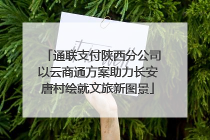 通联支付陕西分公司以云商通方案助力长安唐村绘就文旅新图景