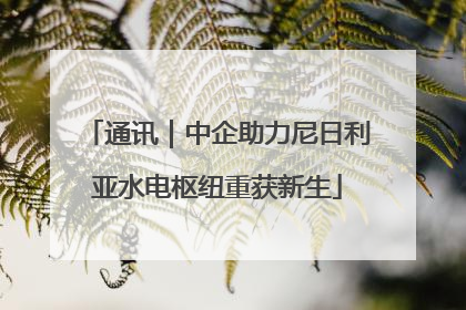 通讯｜中企助力尼日利亚水电枢纽重获新生