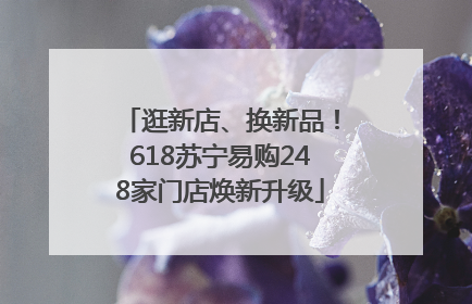 逛新店、换新品！618苏宁易购248家门店焕新升级