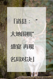 道县：“大地围棋”盛宴 再现名局对决