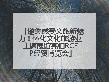 邀您感受文旅新魅力！怀化文化旅游业主题展馆亮相RCEP经贸博览会