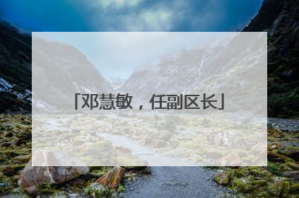 邓慧敏，任副区长