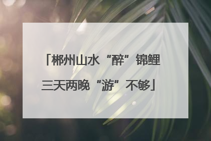 郴州山水“醉”锦鲤 三天两晚“游”不够