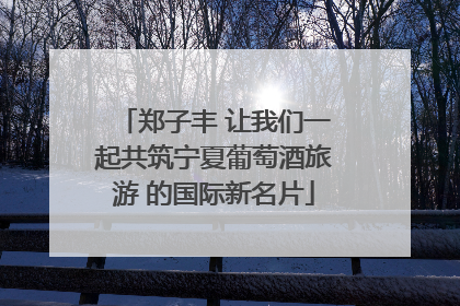 郑子丰 让我们一起共筑宁夏葡萄酒旅游 的国际新名片