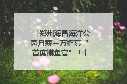 郑州海昌海洋公园月薪三万招募“首席摸鱼官”！