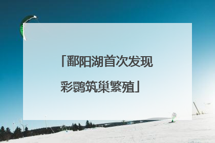 鄱阳湖首次发现彩鹮筑巢繁殖