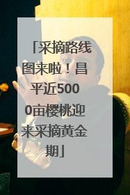 采摘路线图来啦！昌平近5000亩樱桃迎来采摘黄金期
