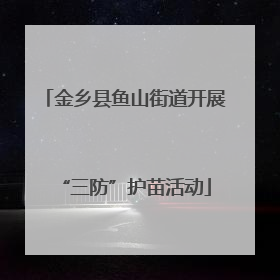 金乡县鱼山街道开展“三防”护苗活动