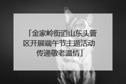 金家岭街道山东头管区开展端午节主题活动 传递敬老温情