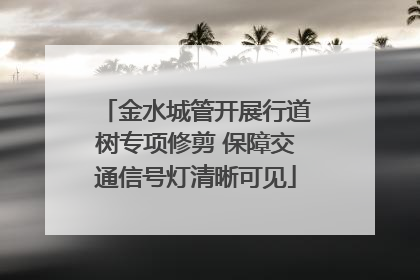 金水城管开展行道树专项修剪 保障交通信号灯清晰可见