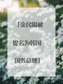金民锡被提名为韩国国务总理