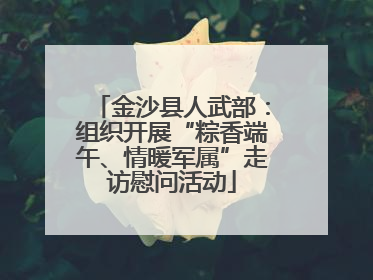 金沙县人武部：组织开展“粽香端午、情暖军属”走访慰问活动