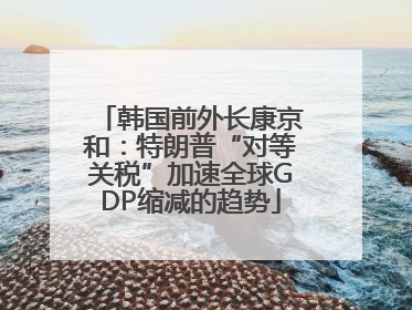韩国前外长康京和：特朗普“对等关税”加速全球GDP缩减的趋势