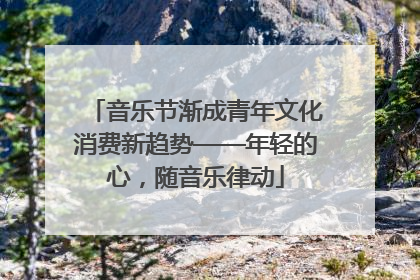 音乐节渐成青年文化消费新趋势——年轻的心，随音乐律动