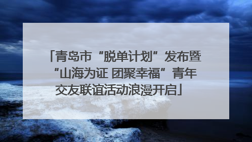 青岛市“脱单计划”发布暨“山海为证 团聚幸福”青年交友联谊活动浪漫开启
