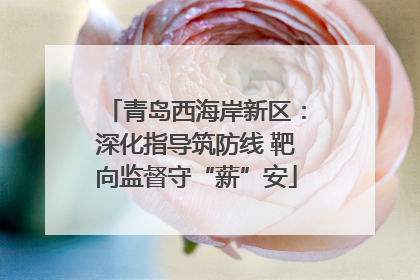 青岛西海岸新区：深化指导筑防线 靶向监督守“薪”安