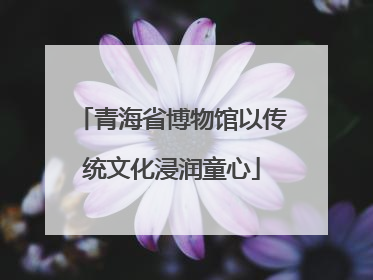 青海省博物馆以传统文化浸润童心