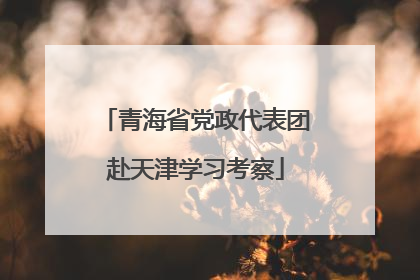 青海省党政代表团赴天津学习考察