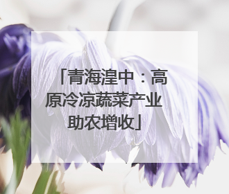 青海湟中：高原冷凉蔬菜产业助农增收