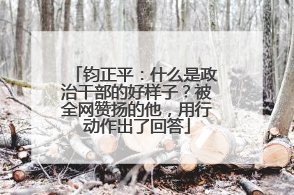 钧正平：什么是政治干部的好样子？被全网赞扬的他，用行动作出了回答