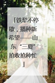 铁犁不停歇，播种新希望——山东“三夏”抢收抢种忙