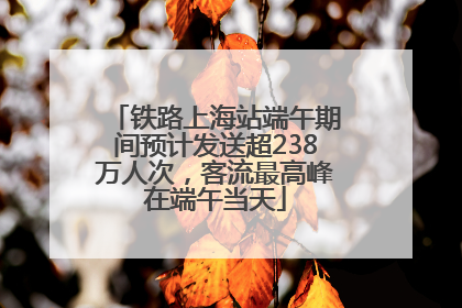铁路上海站端午期间预计发送超238万人次，客流最高峰在端午当天