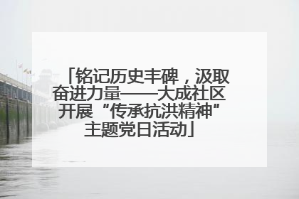 铭记历史丰碑，汲取奋进力量——大成社区开展“传承抗洪精神”主题党日活动