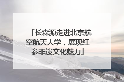 长森源走进北京航空航天大学，展现红参非遗文化魅力