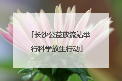 长沙公益放流站举行科学放生行动