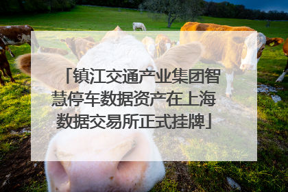 镇江交通产业集团智慧停车数据资产在上海数据交易所正式挂牌