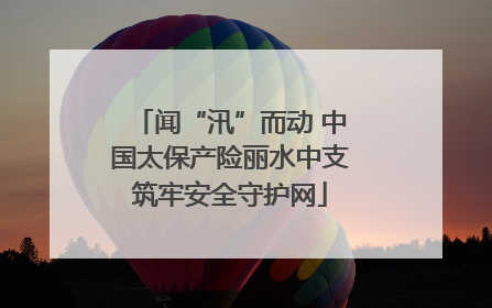 闻“汛”而动 中国太保产险丽水中支筑牢安全守护网