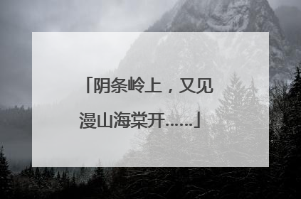 阴条岭上，又见漫山海棠开……