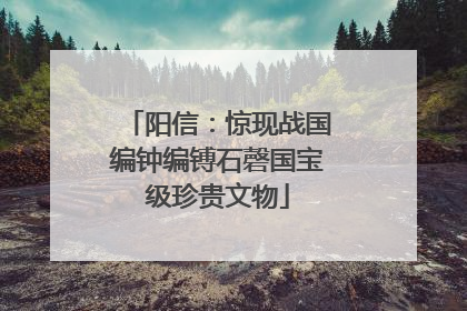 阳信：惊现战国编钟编镈石磬国宝级珍贵文物