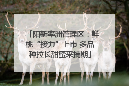 阳新率洲管理区：鲜桃“接力”上市 多品种拉长甜蜜采摘期