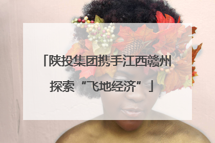 陕投集团携手江西赣州 探索“飞地经济”