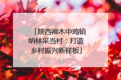 陕西神木中鸡镇纳林采当村：打造乡村振兴新样板