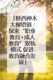 陕西神木大柳塔镇：探索“职业教育+成人教育”双轨模式 促进教育融合发展
