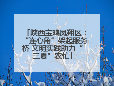 陕西宝鸡凤翔区：“连心角”架起服务桥 文明实践助力“三夏”农忙