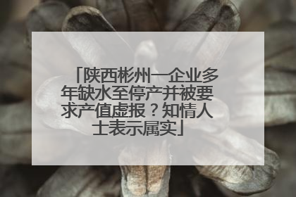 陕西彬州一企业多年缺水至停产并被要求产值虚报？知情人士表示属实