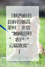 陕西府谷县府谷镇高梁村：乡货“触网出村” 农户“云端致富”