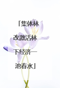 集体林改激活林下经济一池春水