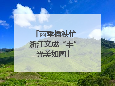 雨季插秧忙 浙江文成“丰”光美如画