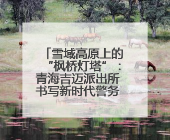 雪域高原上的“枫桥灯塔”：青海吉迈派出所书写新时代警务答卷